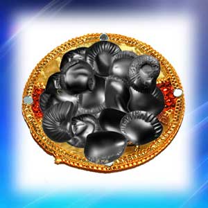 Exotic Divya Maha Siddha Sangaraha-EXDMS02